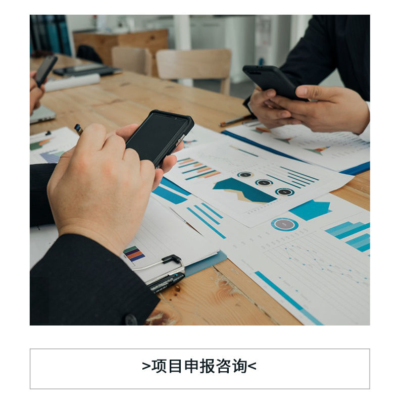 項目申報咨詢
